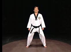 Image result for Taekwondo Stances