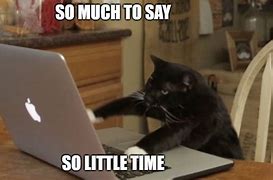 Image result for Funny Cat Typing Meme