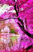 Image result for Printest Pink Nature