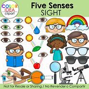 Image result for 5 Senses Sight Activities