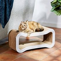 Image result for Cat Scratcher Lounge