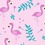 Image result for Flamingo Summer Wallpaper