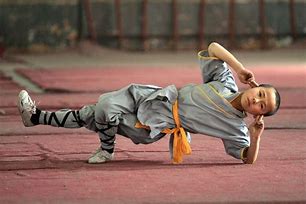 Image result for Kung Fu Types