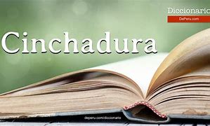 Image result for cinchadura