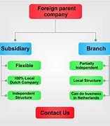 Image result for Branch vs Subsidiary