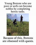 Image result for Elder Scrolls Breton Memes