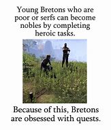 Image result for Elder Scrolls Breton Memes