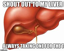 Image result for My Liver Meme