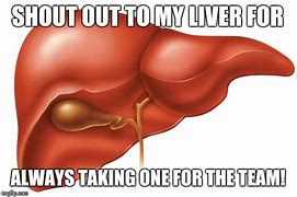 Image result for iPhone 14 Liver Meme