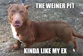 Image result for Happy Birthday Weiner Dog Meme