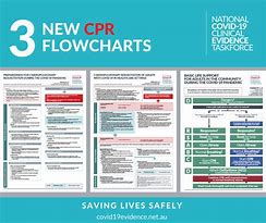 Image result for CPR Flow Charg