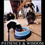 Image result for Have Patience Funny