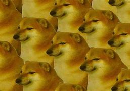 Image result for Cheems Doge Wallpaper