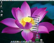 Image result for OS X Sea Lion