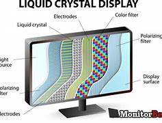 Image result for Uses of Monitor