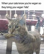 Image result for Meat vs Vegetarian Meme