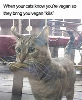 Image result for Meme About Vegan Ribs