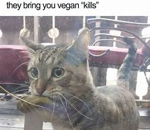Image result for Vegan Dark Memes