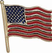 Image result for American Flag Pin