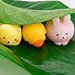 Image result for Squishy Fidget Toys