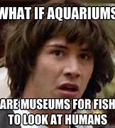 Image result for Museum Fish Meme
