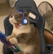 Image result for Raging Cat Gamer Meme