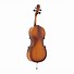 Image result for Violoncello