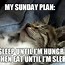 Image result for Sunday Night Cat Quotes Funny