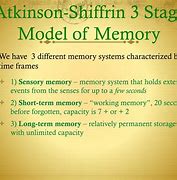 Image result for Human Memory