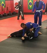 Image result for Brazilian Jiu Jitsu Chokes