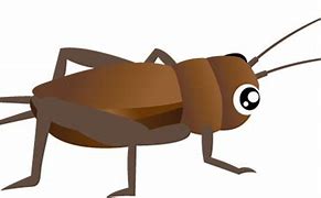 Image result for Cricket Insect Cartoon Clip Art