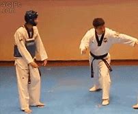 Image result for Best Karate Moves