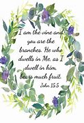 Image result for Bible Vine and Branches