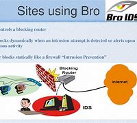 Image result for Bro System