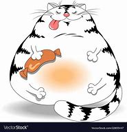 Image result for Cartoon Fat Cat Memes