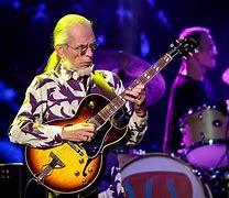 Image result for Steve Howe Musician