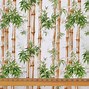 Image result for Bamboo Print