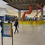 Image result for Tampa Airport Hanging Birds