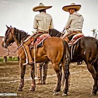 Image result for Mexican Charro