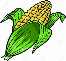 Image result for Fall Corn Clip Art
