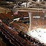 Image result for Manchester Monarchs Arena