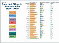 Image result for US census on race, ethnicity