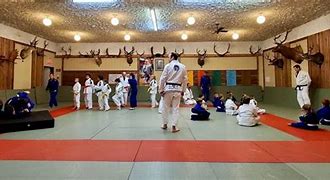 Image result for Judo Martial Arts