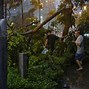 Image result for Hong Kong T10 Typhoon