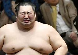 Image result for Sumo Wrestler Wolf