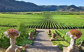 Image result for Chile Wine Vineyards