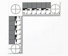 Image result for Photomacrographic Scale Ruler