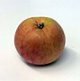 Image result for Little Apple Tree