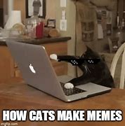 Image result for Fancy Cat Meme