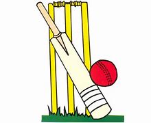 Image result for Cricket Bat Ball